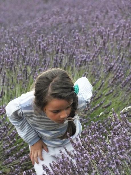 Crumble di pere, lavanda e mandorle