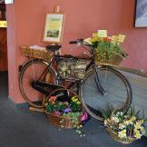 Hotel Conca Azzurra Lago Maggiore Bike Hotels: un nuovo modo di fare turismo