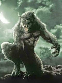 Lupo Mannaro | Wallpaper Lupo Mannaro | Wallpaper