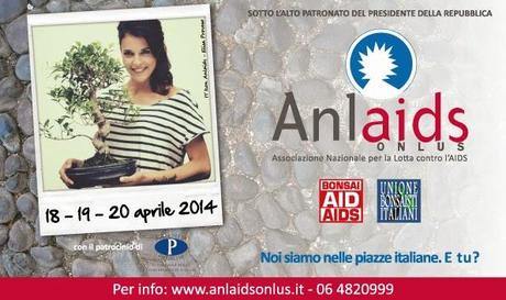 A Pasqua con i bonsai parliamo di Aids