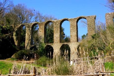 Canale Monterano-Gluten Free Travel&Living