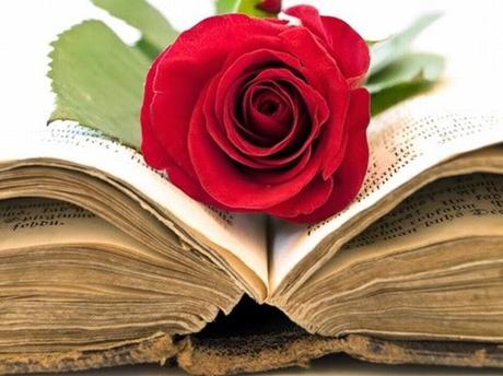 San Jordi - Festa del libro e delle rose