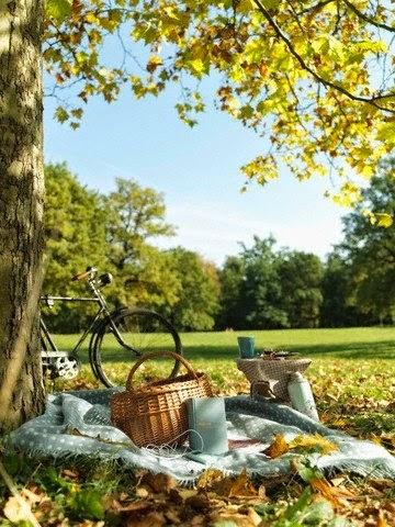 The perfect picnic