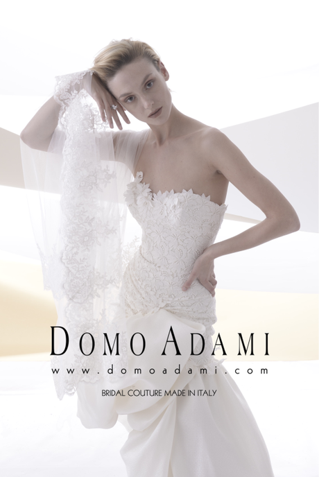 Domo Adami