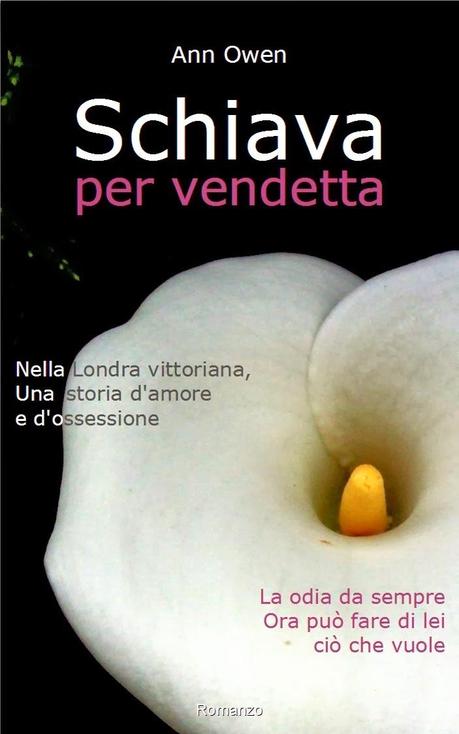 Recensione, SCHIAVA PER VENDETTA di Ann Owen