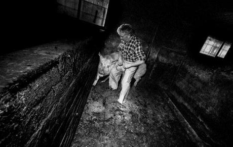 Mattia Mariuccini – Il sacrificio della carne (fotoreportage)