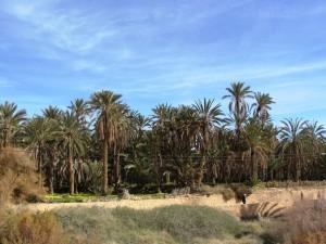 Tunisia: oasi e deserto, le parti più affascinanti di un paese che non ha solo belle località balneari, siti archeologici e interessanti città.