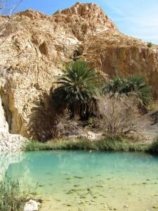 Tunisia: oasi e deserto, le parti più affascinanti di un paese che non ha solo belle località balneari, siti archeologici e interessanti città.