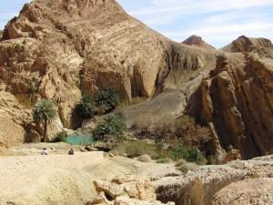 Tunisia: oasi e deserto, le parti più affascinanti di un paese che non ha solo belle località balneari, siti archeologici e interessanti città.