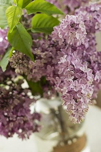 INSPIRATIONS WEEK: LILAC