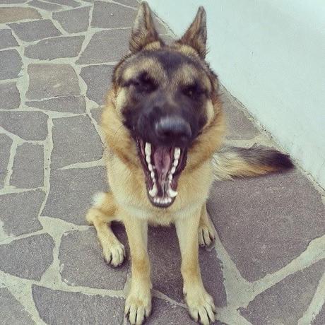 MOMENTS OF LIFE!! MOMENTS OF LIFE!!