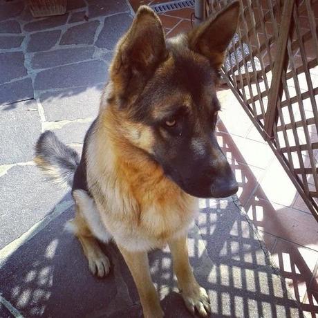 MOMENTS OF LIFE!! MOMENTS OF LIFE!!