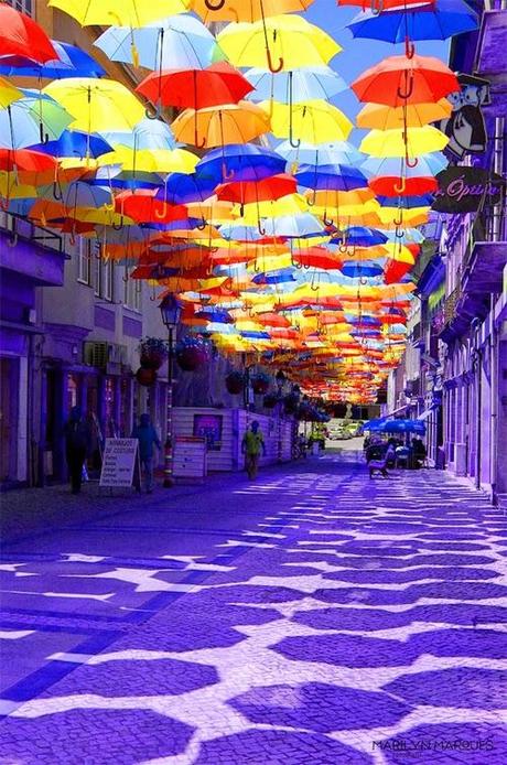 Portogallo: Il colore degli ombrelli