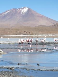 Salar de Uyuni