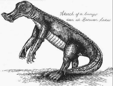 Dinosauri  a becco d'anatra avvistati in australia 170 anni fa?