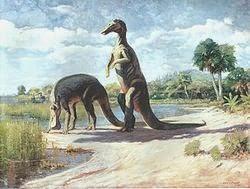 Dinosauri  a becco d'anatra avvistati in australia 170 anni fa?