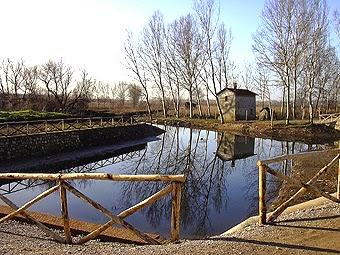 Il Padule di Fucecchio è la più estesa area paludosa interna presente in Italia.