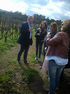 “Creare” la propria identità. Winetour&tasting a Tenuta di Fessina