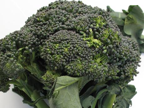 cavolo-broccolo-02 Brassica oleracea var. italica, il Cavolo broccolo