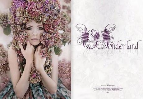 wonderland wonderland