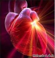 Trapianti cuore/polmone