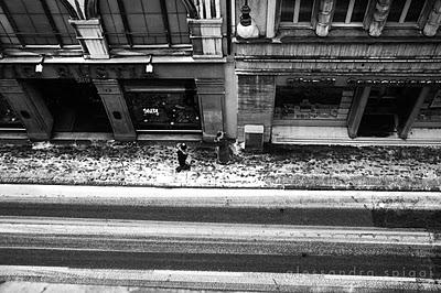 Il mio grande Mark Strand. Il mio grande Mark Strand.