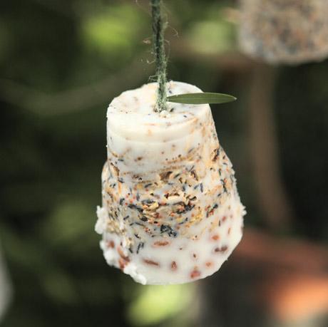 BIODIVERSITA’ FAI-DA-TE: torte di semi per uccellini.