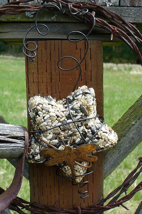 BIODIVERSITA’ FAI-DA-TE: torte di semi per uccellini. BIODIVERSITA’ FAI-DA-TE: torte di semi per uccellini.