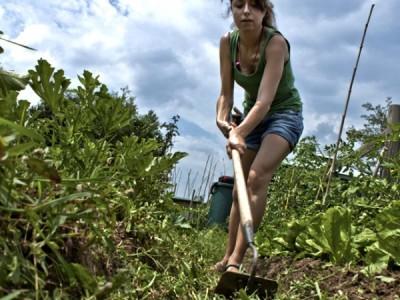 LAZIO – Un altra splendida regione che assegna orti urbani orti-urbani-lazio