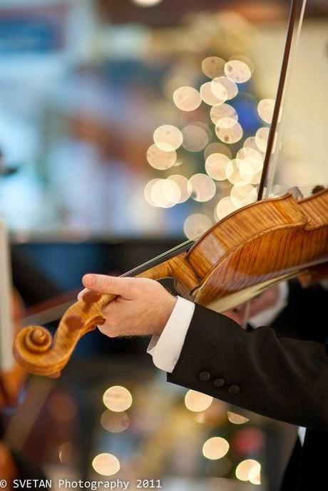 SPRING WEDDING part. 2 SPRING WEDDING part. 2