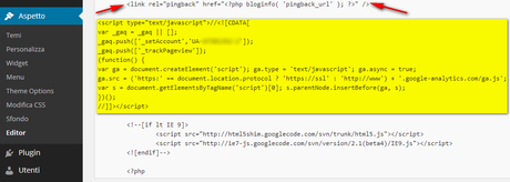 inserire codice analytics su wordpress