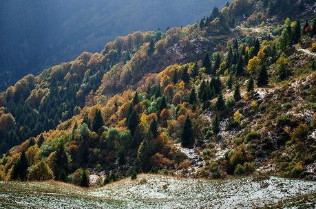 ARVENIS E TAMAI: due cime, mille colori