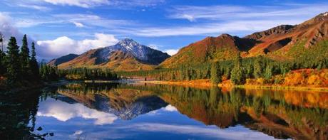 denali-national-park