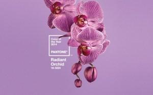 il-radiant-orchid-e-il-colore-del-2014