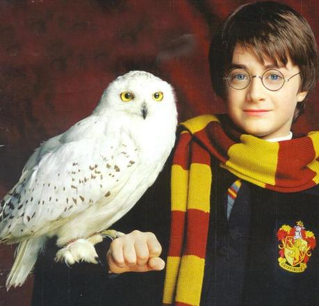 La Saga di Harry Potter di J.K. Rowling