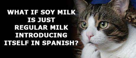 SOYMILK