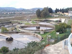 Una speranza per il mare depuratore