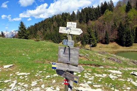 escursione sul cansiglio a malga mezzomiglio