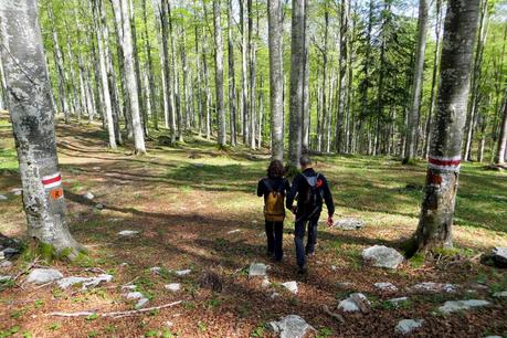 escursione sul cansiglio a malga mezzomiglio