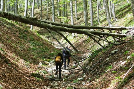 escursione sul cansiglio a malga mezzomiglio