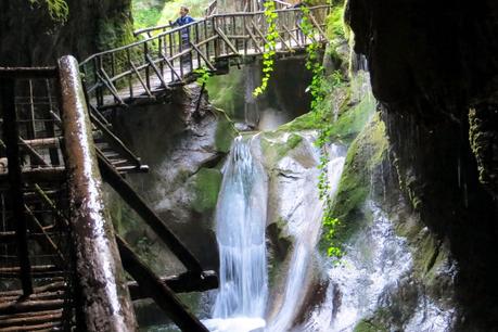 escursione sul bosco del cansiglio a malga mezzomiglio