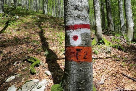 escursione sul cansiglio a malga mezzomiglio