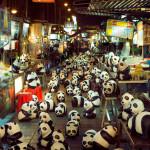 1.600 panda