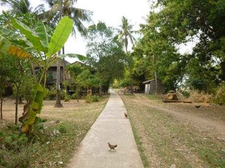 Un villaggio sull'isola nel Mekong