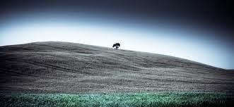 VOLA TRAMONTO. VOLA TRAMONTO.