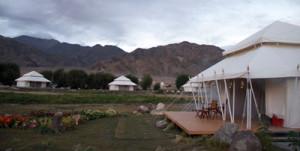 Chambal-Tent-Ladakh1