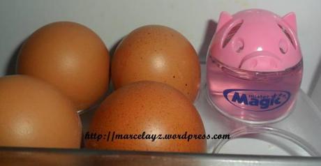 Come togliere i cattivi odori dal frigo con ‘Mister Magic’ 038