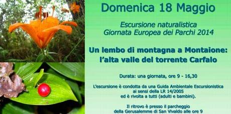 Escursione naturalistica gratuita / Free naturalistic excursion in Tuscany