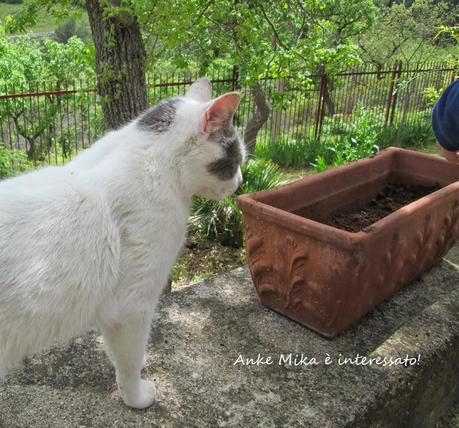 Primavera...tempo di semina