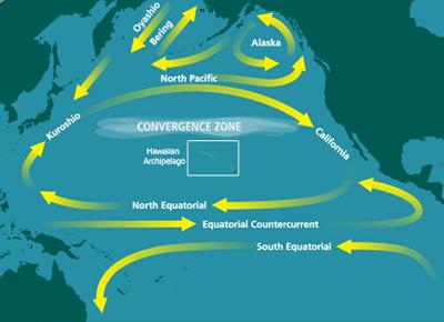 Le quattro correnti che formano il Vortice Subtropicale del Pacifico